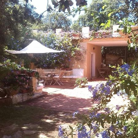 B&B Le Corti Di Aloa ซานปันตาเลโอ ภายนอก รูปภาพ