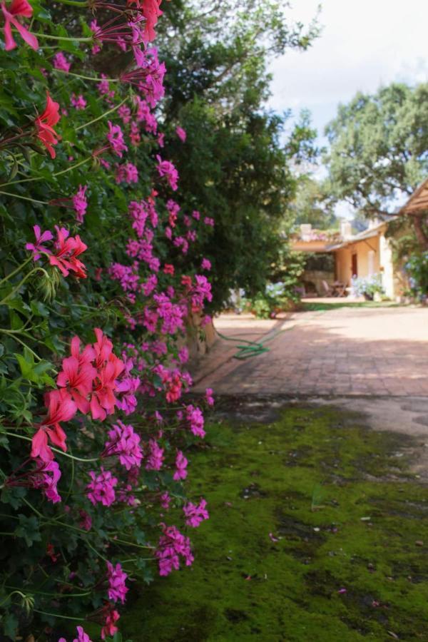 B&B Le Corti Di Aloa ซานปันตาเลโอ ภายนอก รูปภาพ