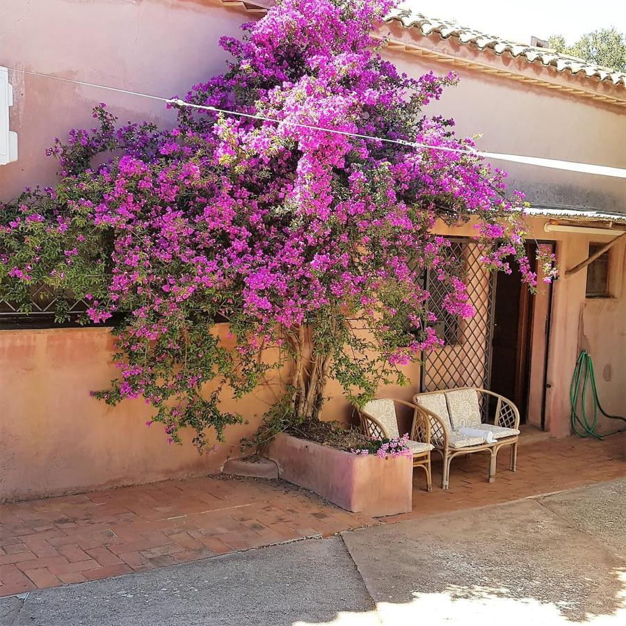 B&B Le Corti Di Aloa ซานปันตาเลโอ ภายนอก รูปภาพ