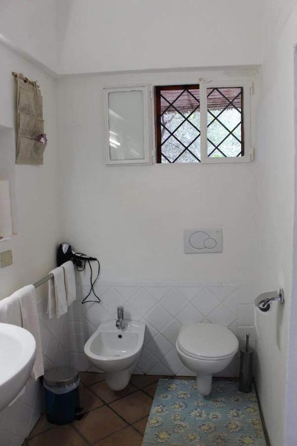 B&B Le Corti Di Aloa ซานปันตาเลโอ ภายนอก รูปภาพ