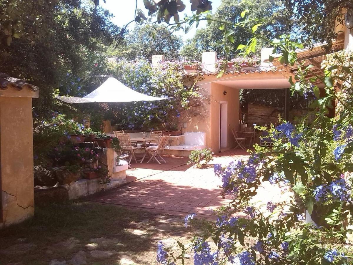 B&B Le Corti Di Aloa ซานปันตาเลโอ ภายนอก รูปภาพ