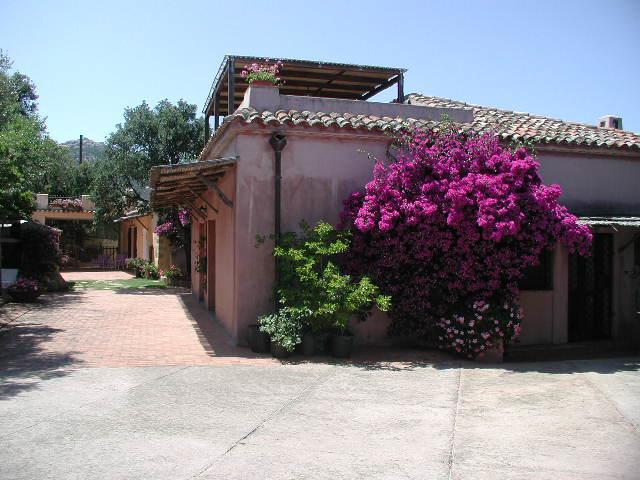 B&B Le Corti Di Aloa ซานปันตาเลโอ ภายนอก รูปภาพ
