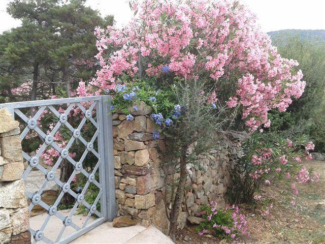 B&B Le Corti Di Aloa ซานปันตาเลโอ ภายนอก รูปภาพ