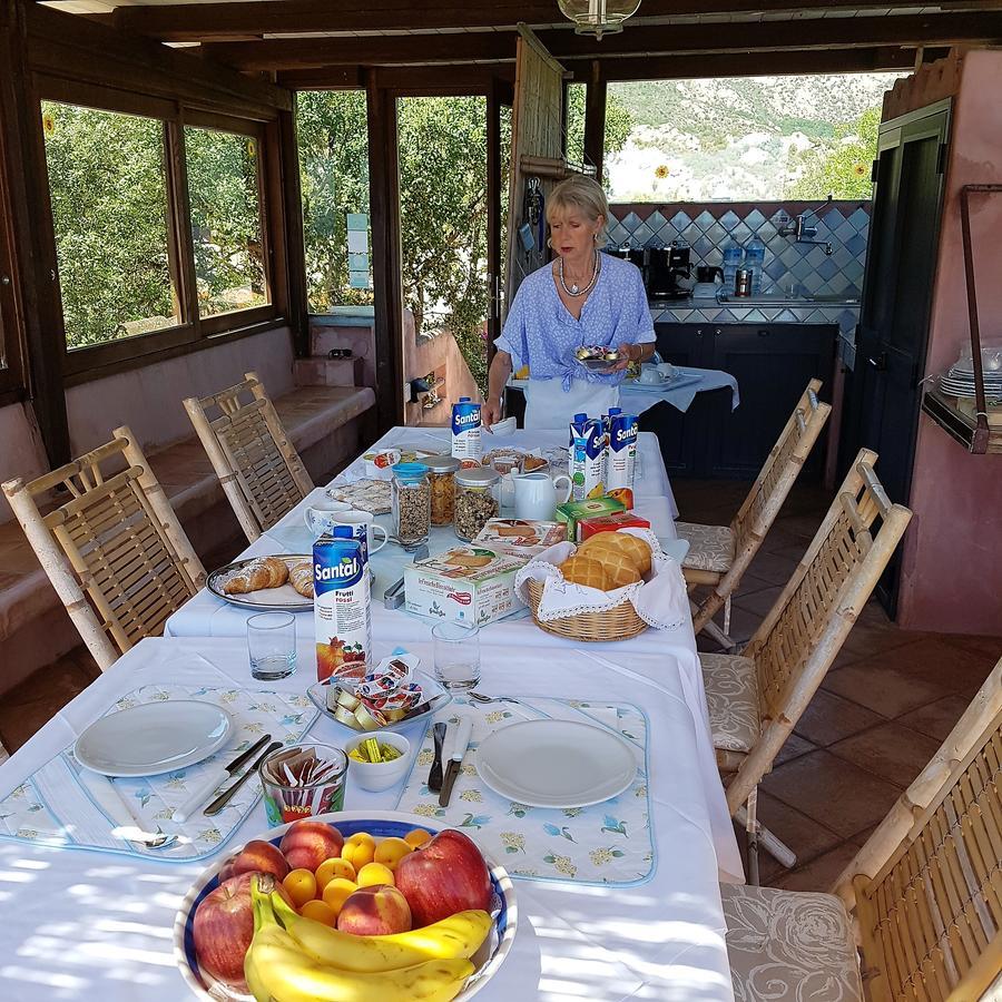 B&B Le Corti Di Aloa ซานปันตาเลโอ ภายนอก รูปภาพ